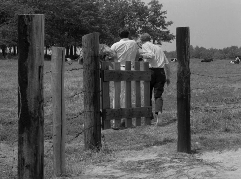 The Wedding Party (1969) BluRay Hindi + English 720p x264 AVC DD 2.0 ESub.mkv.0004